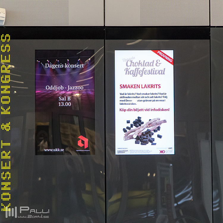 Timmen innan festivalen