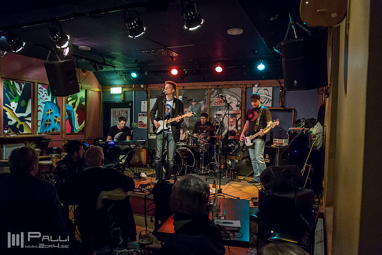 Per Adman & the Revelators