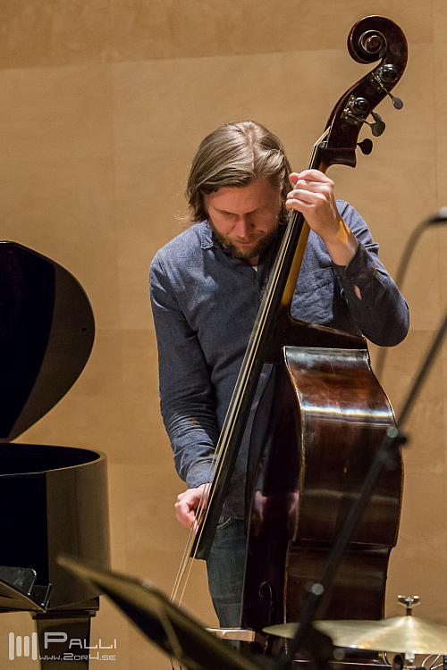 Valdimar K Sigurjónsson