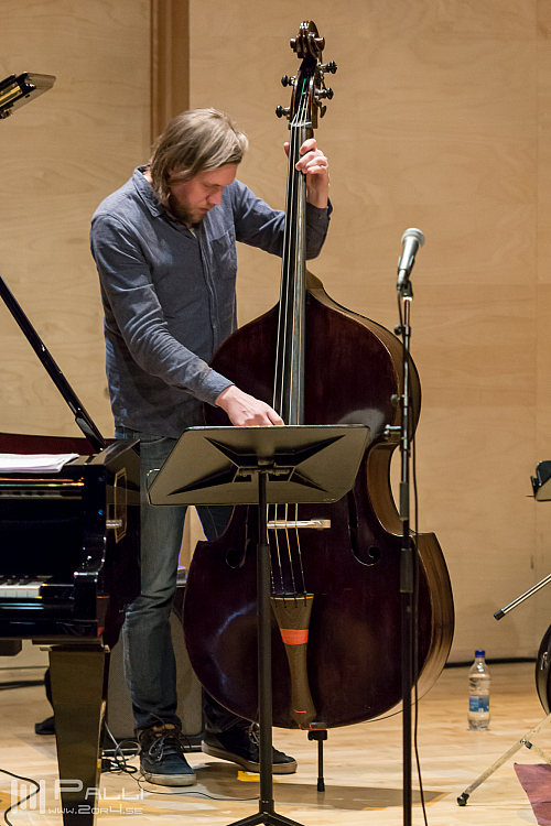 Valdimar K Sigurjónsson