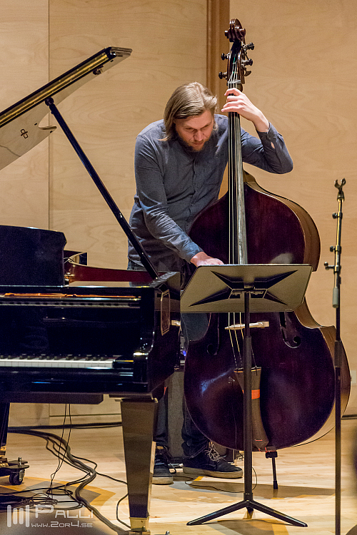 Valdimar K Sigurjónsson