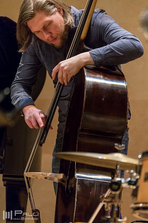 Valdimar K Sigurjónsson