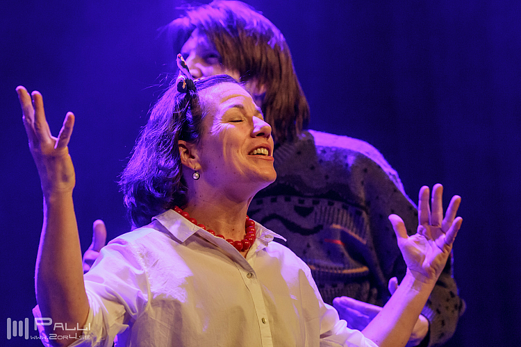 Michler, Meijer & More