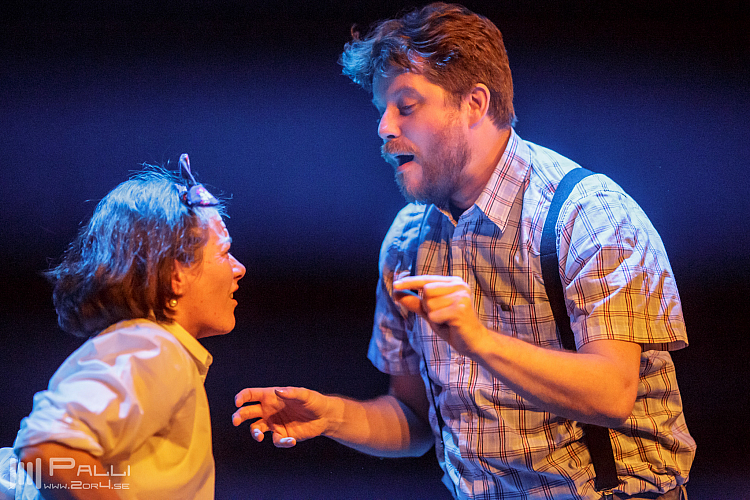 Michler, Meijer & More