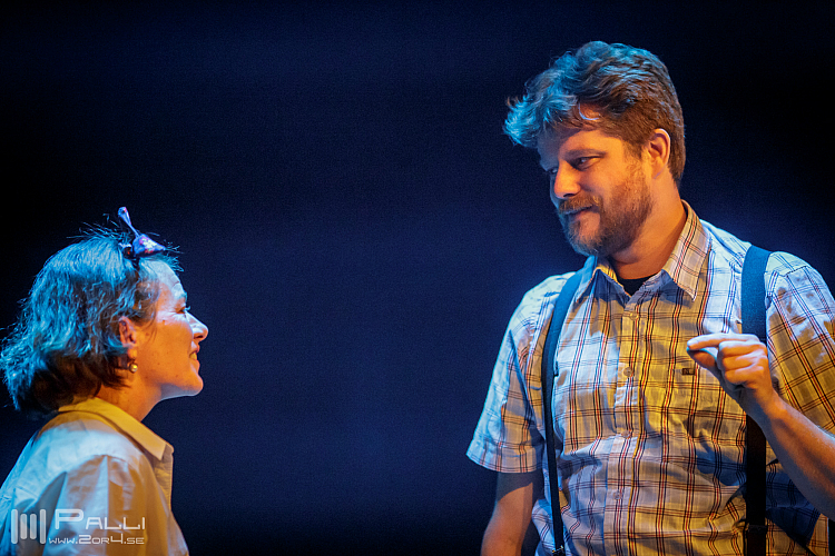 Michler, Meijer & More