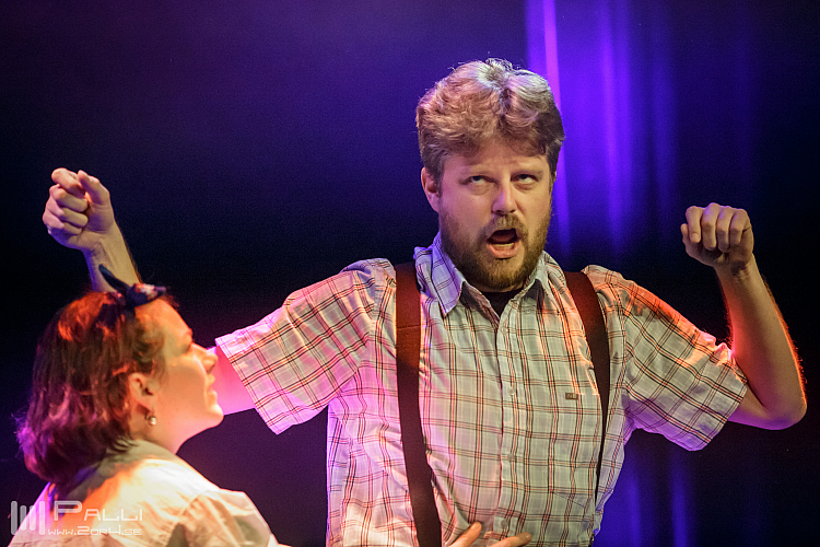 Michler, Meijer & More