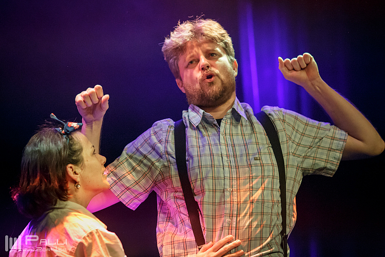 Michler, Meijer & More