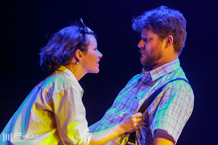 Michler, Meijer & More