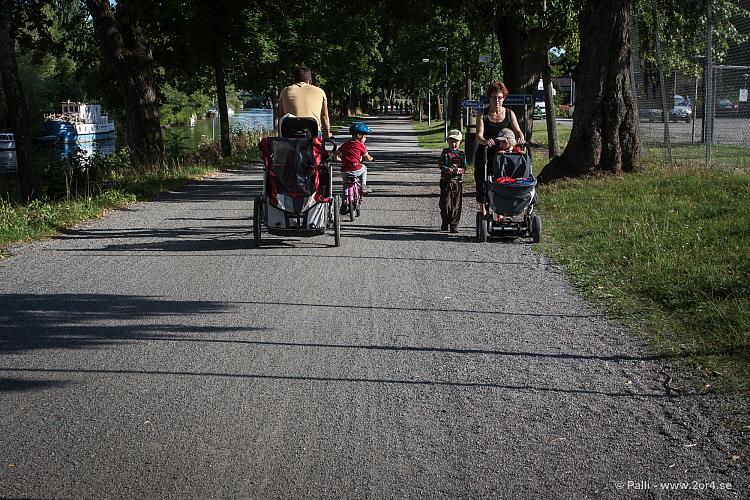 Västra sidan av Fyrisån mot Uleråker-Ultuna-Sunnersta