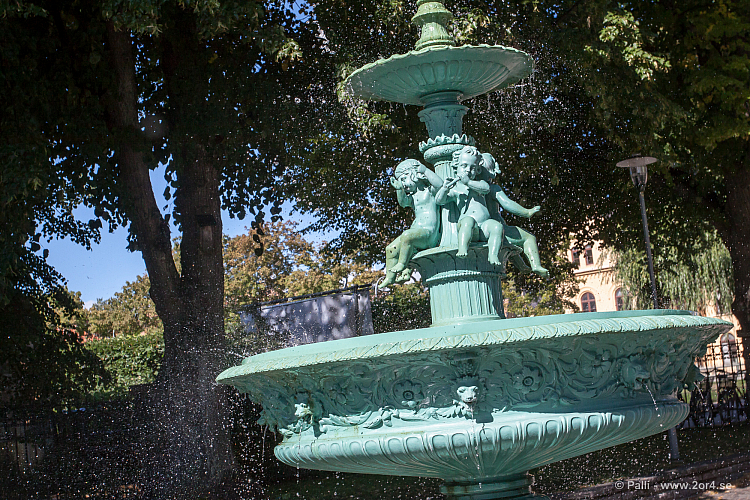 Ett varv runt fontänen i Stadsträdgården 
