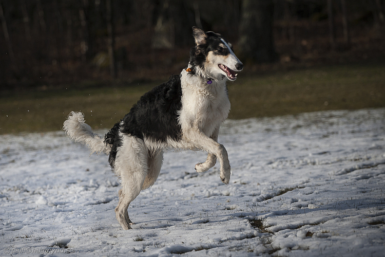 Katinka, Hedra och Ivra på Gottsundagipen