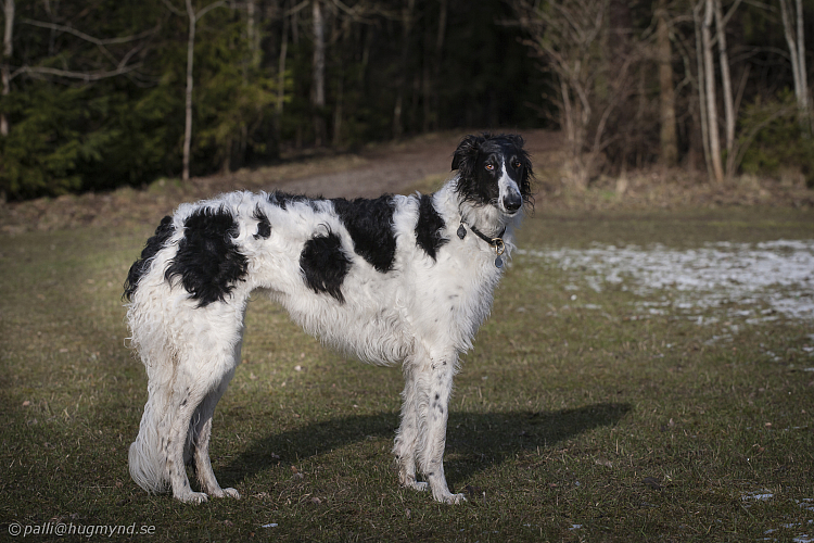 Katinka, Hedra och Ivra på Gottsundagipen