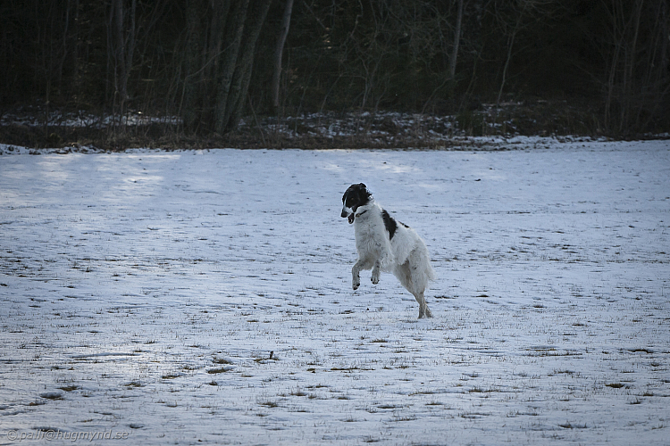 Katinka, Hedra och Ivra på Gottsundagipen