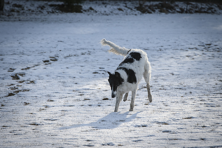 Katinka, Hedra och Ivra på Gottsundagipen