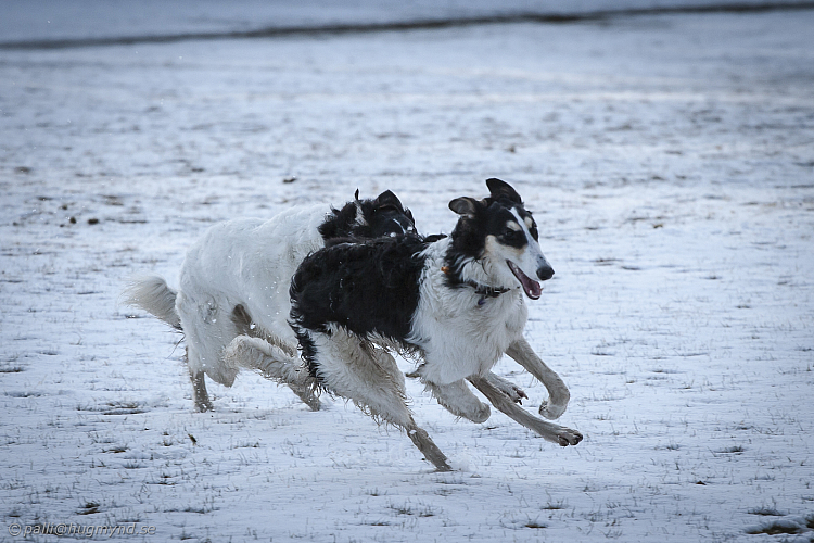 Katinka, Hedra och Ivra på Gottsundagipen