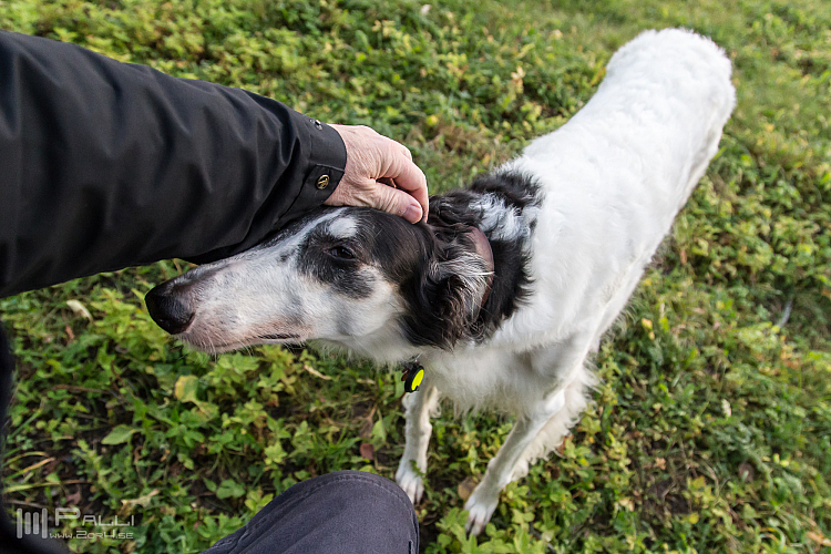 Gottsundagipen ,Hedra 