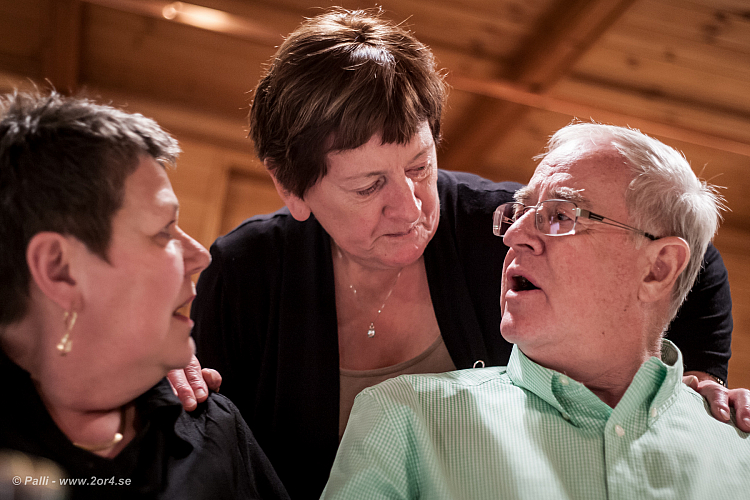 Kotlettafton i Dalakofinn