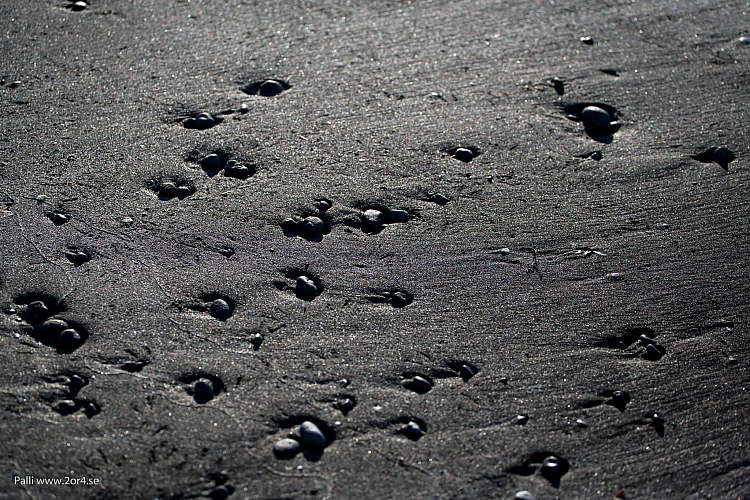 Standen vid Húsavík