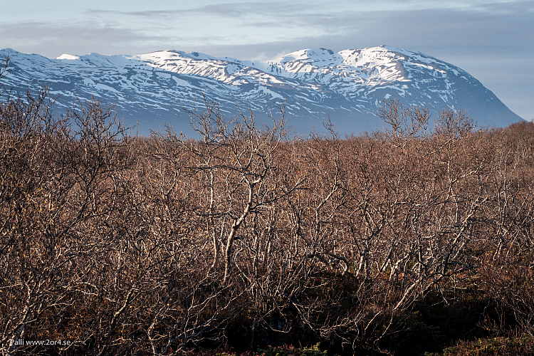 Kinnarfjöll