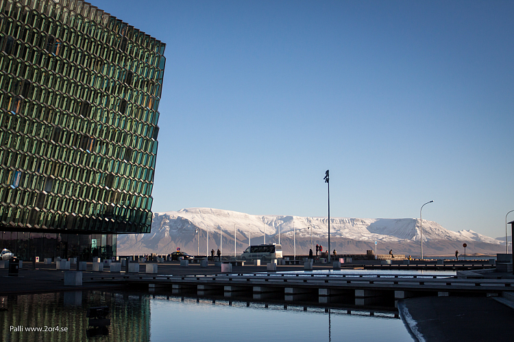 Harpan i Reykjavik