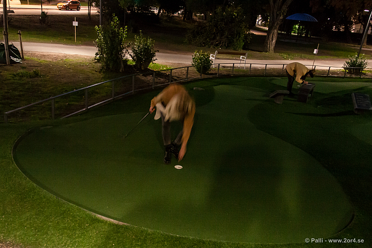 Lisa skötte bokföringen