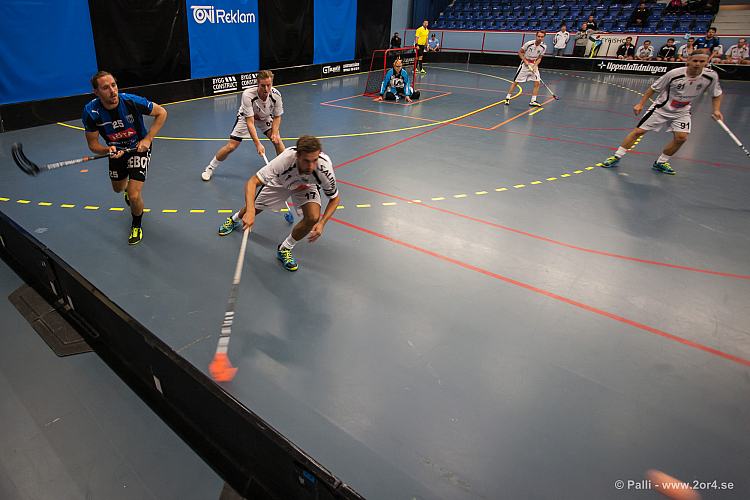 Sirius - Caperiotäby