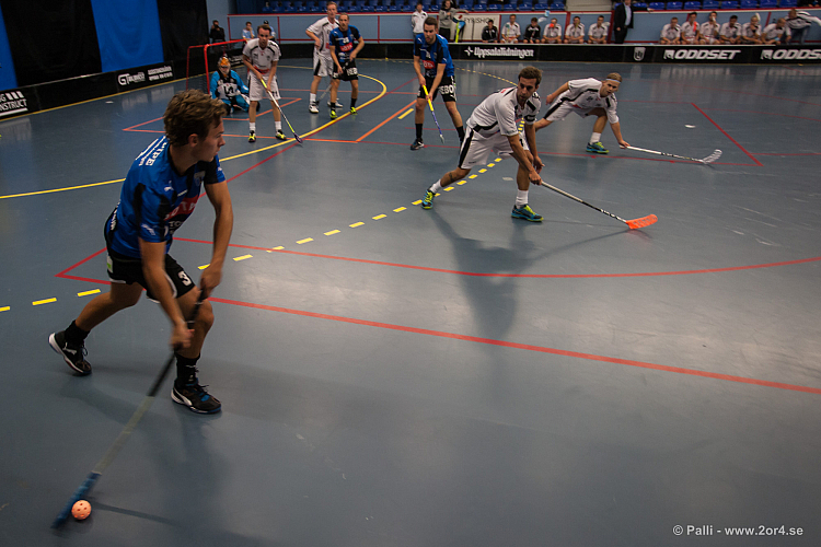 Sirius - Caperiotäby