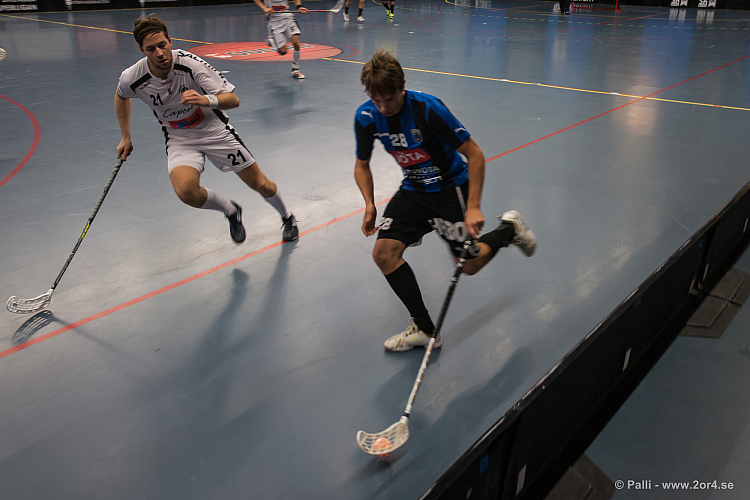 Sirius - Caperiotäby