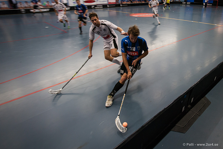 Sirius - Caperiotäby