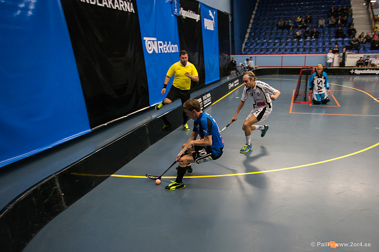 Sirius - Caperiotäby