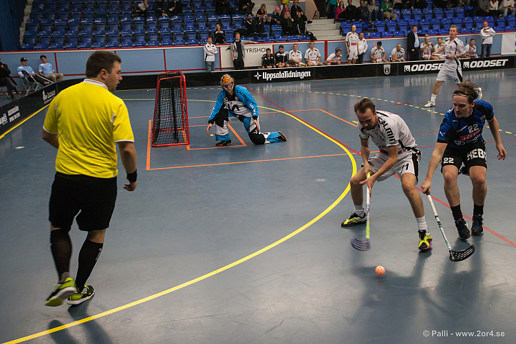 Sirius - Caperiotäby