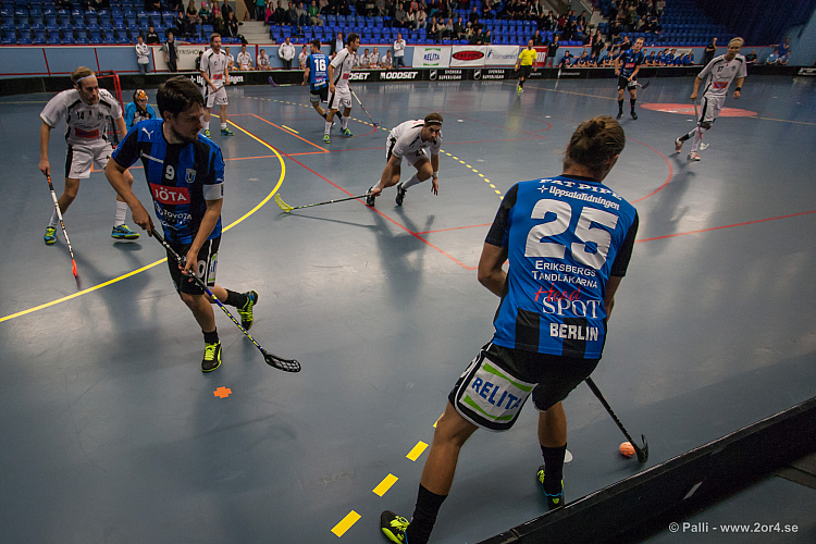 Sirius - Caperiotäby