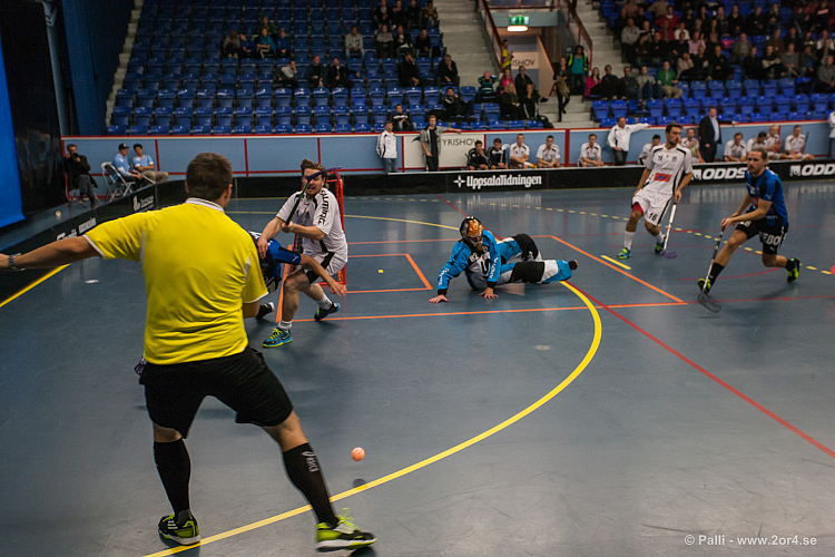 Sirius - Caperiotäby