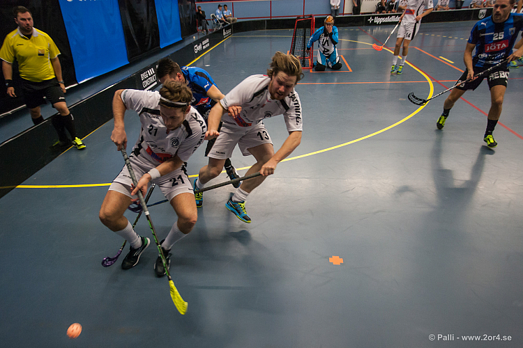 Sirius - Caperiotäby