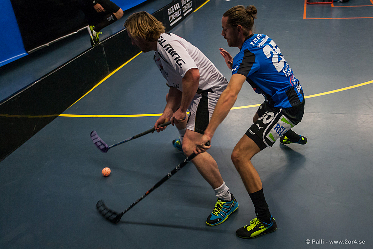 Sirius - Caperiotäby