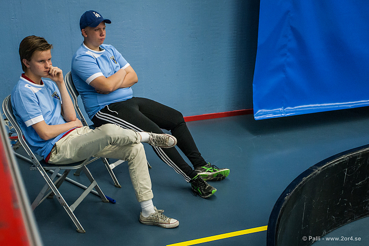 Sirius - Caperiotäby