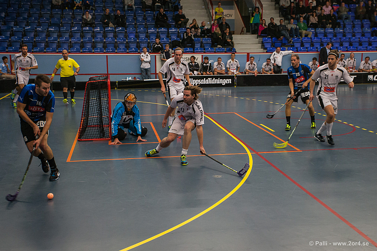 Sirius - Caperiotäby