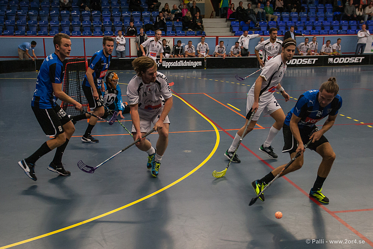 Sirius - Caperiotäby