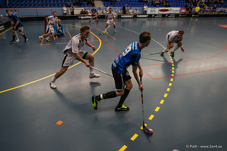 Sirius - Caperiotäby