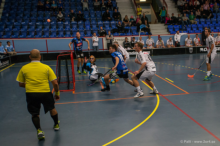 Sirius - Caperiotäby