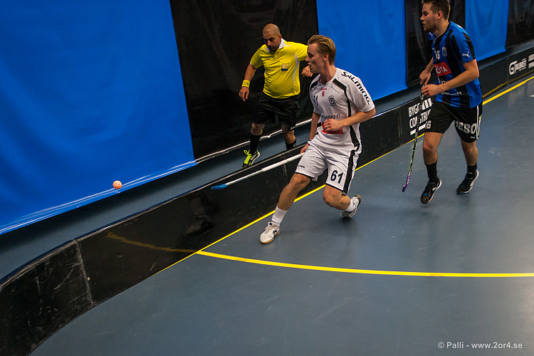 Sirius - Caperiotäby