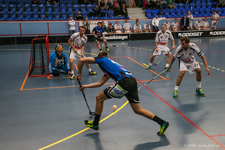 Sirius - Caperiotäby