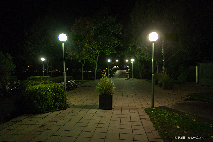 Sirius - Caperiotäby