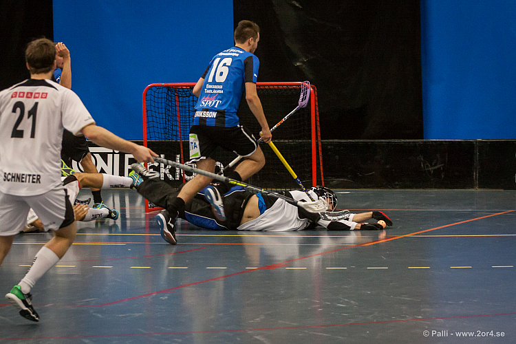 Sirius - Caperiotäby