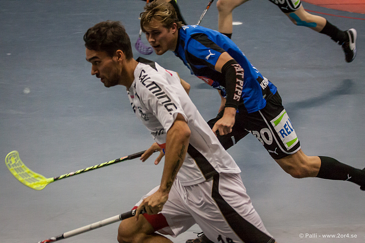 Sirius - Caperiotäby