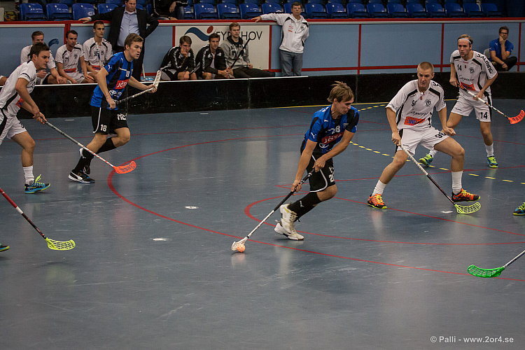 Sirius - Caperiotäby