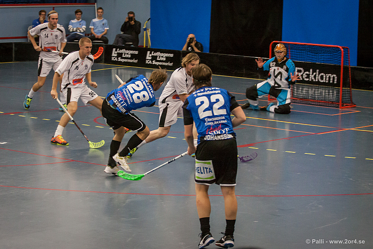 Sirius - Caperiotäby