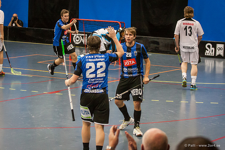 Sirius - Caperiotäby