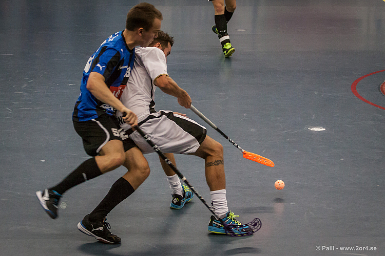 Sirius - Caperiotäby