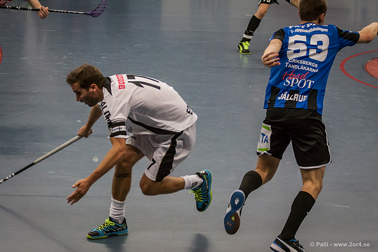 Sirius - Caperiotäby